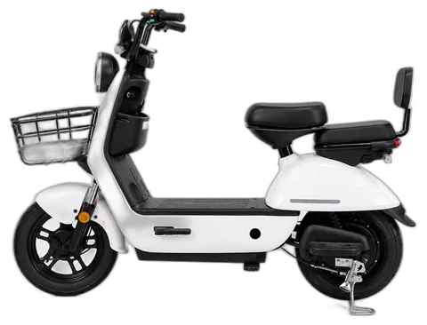 BBF-001